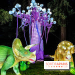 Photos : Thoiry Lumières Sauvages 2020-2021