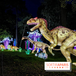 Photos : Thoiry Lumières Sauvages 2020-2021