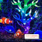 Photos : Thoiry Lumières Sauvages 2020-2021