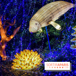 Photos : Thoiry Lumières Sauvages 2020-2021