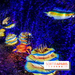 Photos : Thoiry Lumières Sauvages 2020-2021