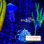 Photos : Thoiry Lumières Sauvages 2020