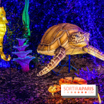 Photos : Thoiry Lumières Sauvages 2020