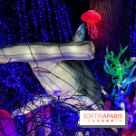 Photos : Thoiry Lumières Sauvages 2020