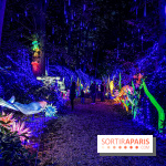 Photos : Thoiry Lumières Sauvages 2020 océan