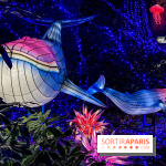 Photos : Thoiry Lumières Sauvages 2020 océan