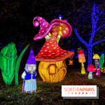 Photos : Thoiry Lumières Sauvages 2020 Nains