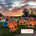 Photos : Thoiry Lumières Sauvages 2020-2021