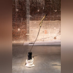 Exposition Anticorps au Palais de Tokyo