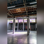 Exposition Anticorps au Palais de Tokyo