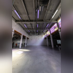 Exposition Anticorps au Palais de Tokyo