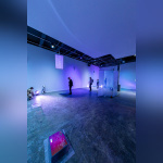 Exposition Anticorps au Palais de Tokyo