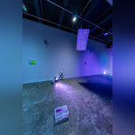 Exposition Anticorps au Palais de Tokyo