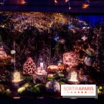 Photos : Village et illuminations de Noël de l'Hôtel de Ville 2020