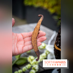 Oeuf de Pâques Vanille du Shangri-La par Maxence Barbot