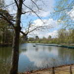 Rosa Bonheur de la Porte Jaune, les photos