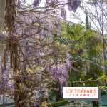 La Mosquée de Paris et son jardin en fleurs