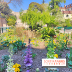 Les Arènes de Lutèce à Paris - fotor 1743591951459