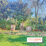 Les Arènes de Lutèce à Paris - fotor 1743591864239