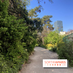 Les Arènes de Lutèce à Paris