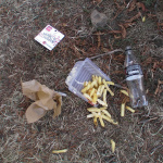 Rock en seine 2009 -
L'accident bête
