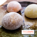 Hanami Paris, Ła terrasse éphémère du Trocadéro