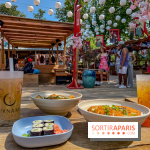 Hanami Paris, Ła terrasse éphémère du Trocadéro
