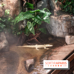 L'Aquarium Tropical de la Porte Dorée