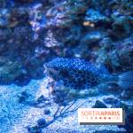 L'Aquarium Tropical de la Porte Dorée