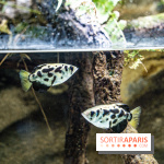 L'Aquarium Tropical de la Porte Dorée