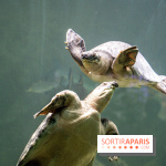 L'Aquarium Tropical de la Porte Dorée