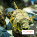 L'Aquarium Tropical de la Porte Dorée