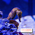 L'Aquarium Tropical de la Porte Dorée