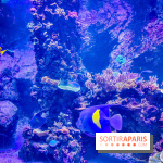 L'Aquarium Tropical de la Porte Dorée