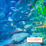 L'Aquarium Tropical de la Porte Dorée