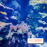 L'Aquarium Tropical de la Porte Dorée