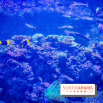 L'Aquarium Tropical de la Porte Dorée