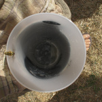 Rock en Seine 2009 -
"Guêpe à bière"