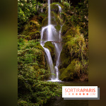 Le Parc de Bagatelle - cascade