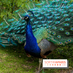 Le Parc de Bagatelle