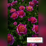 Le Parc de Bagatelle