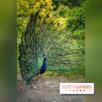 Le Parc de Bagatelle