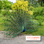 Le Parc de Bagatelle