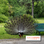 Le Parc de Bagatelle