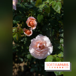 Le Parc de Bagatelle