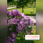 Le Parc de Bagatelle