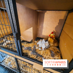 Le « Dîner avec les poules », nos photos