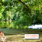 Rosa à l'Est - Porte Jaune, nos photos