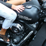 Who's Next 2009 - Belle bête