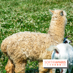 Parrot World, le parc animalier immersif d'Île-de-France